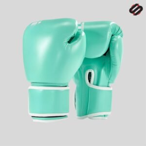 Boxing gloves